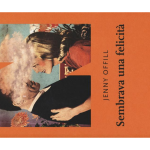 sembrava una felicità jenny offill recensione
